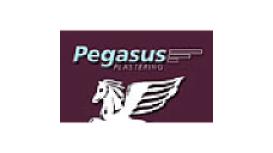 Pegasus Plastering