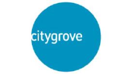 Citygrove Professional Services
