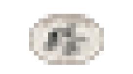 The Wimbledon Gardener