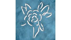 Mike Bayon Garden Design