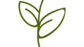 Stephen Charles Landscapes