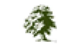 Casey Tree Surgeons & Landscapers