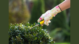 Landscapers Canary Wharf