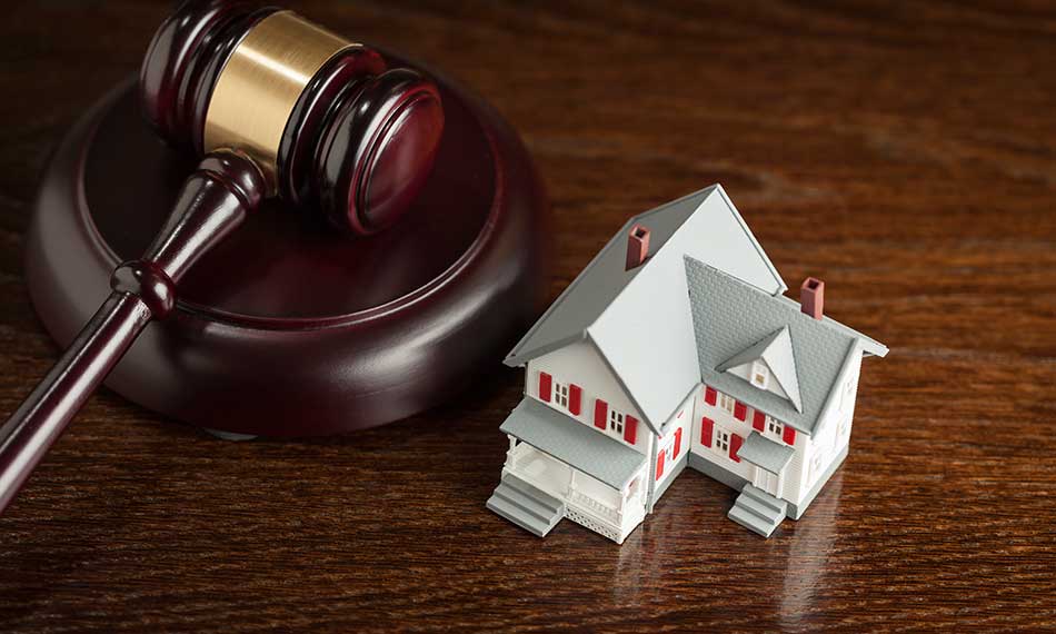 Intellectual Property Law