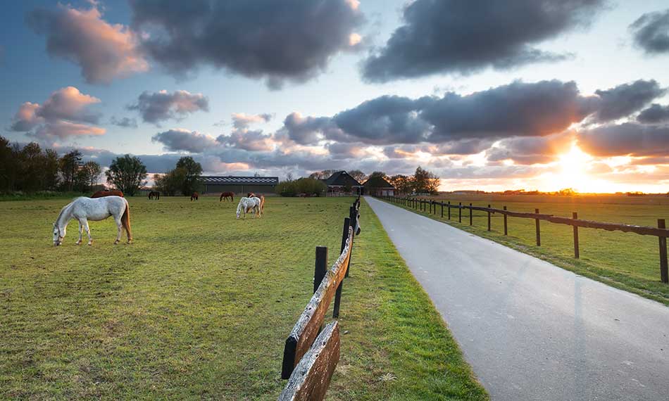 Equestrian Land for Sale