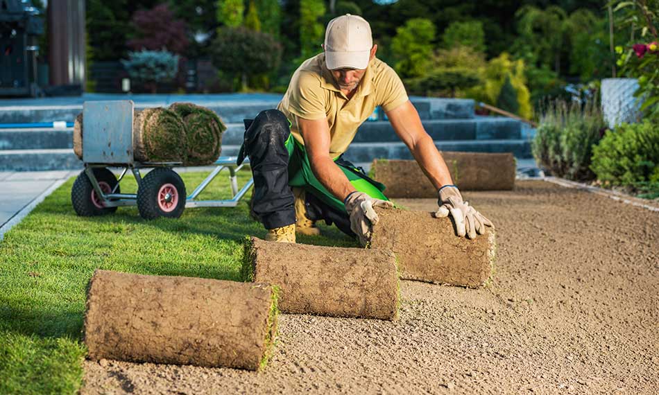 Turfing and Lawn Care