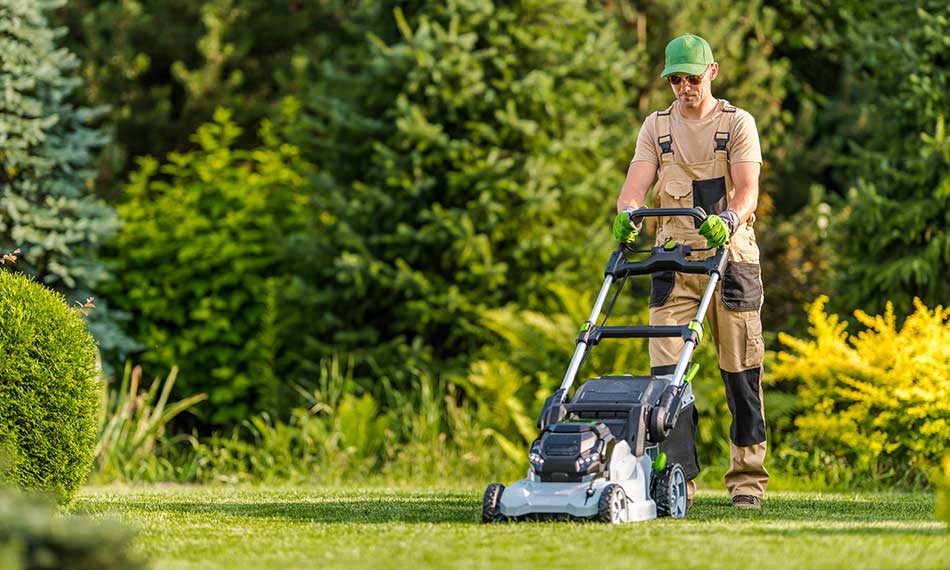Lawn Mowing and Maintenance