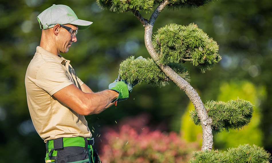 Seasonal Garden Maintenance