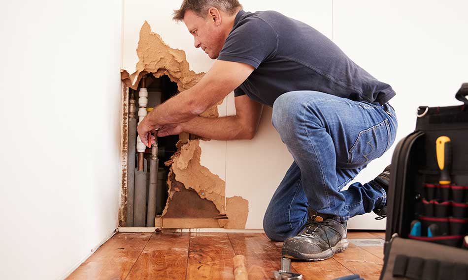 Leak Detection and Repairs