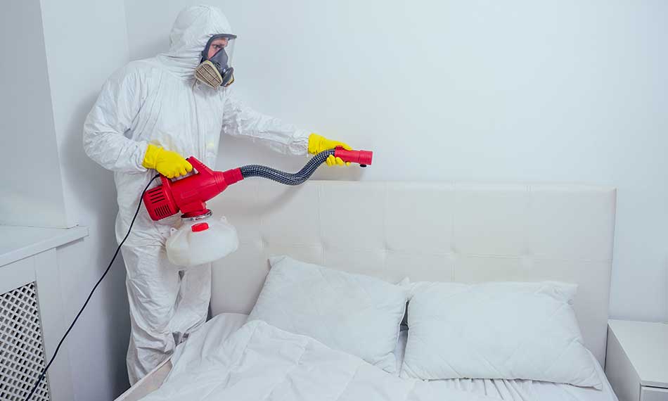 Bed Bug Treatments