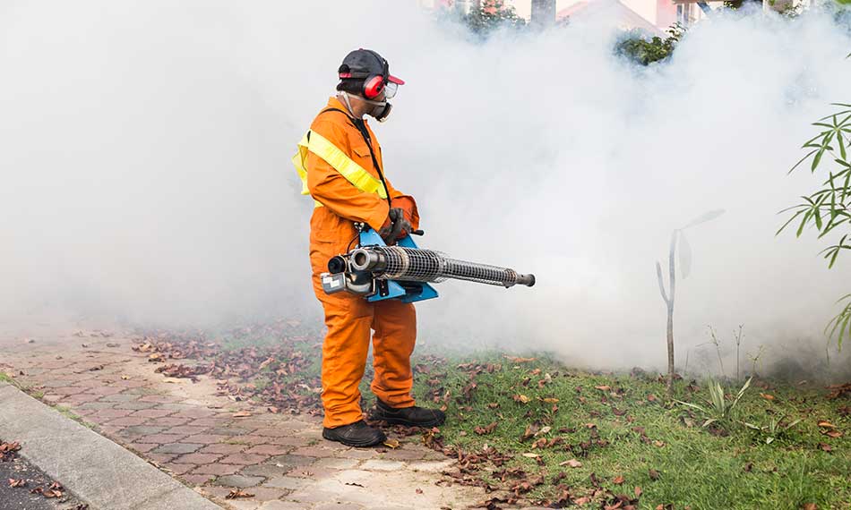 Fumigation Services