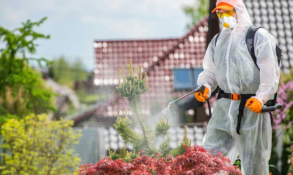 Preventive Pest Management