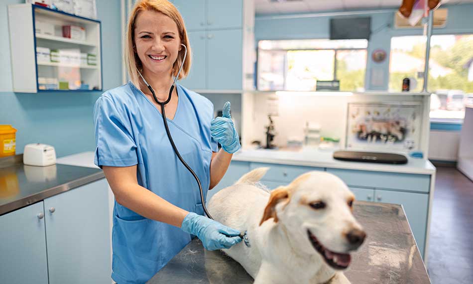 General Health Check-ups