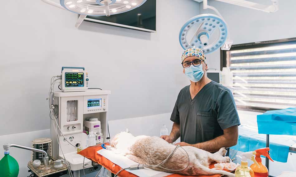 Surgery and Operations