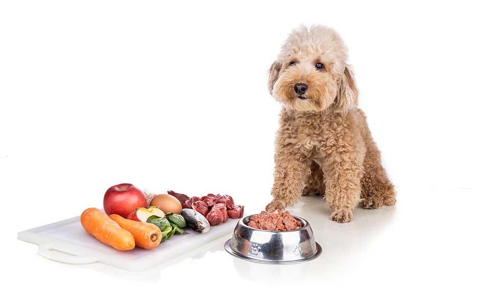 Nutritional and Dietary Advice