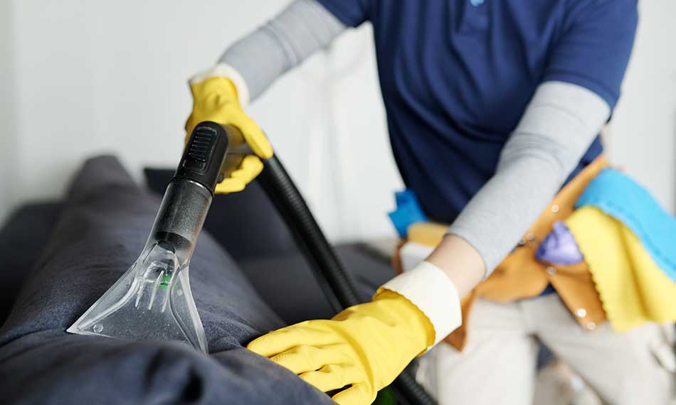 Carpet and Upholstery Cleaning