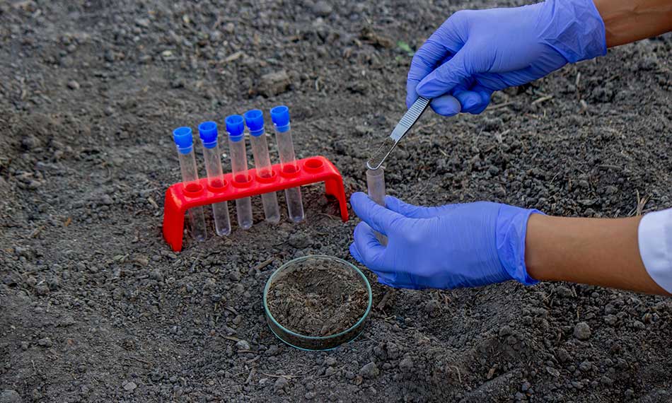Soil and Water Testing
