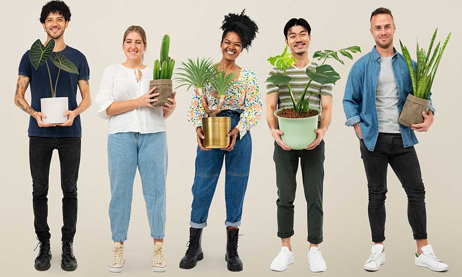 Plants and Indoor Greenery