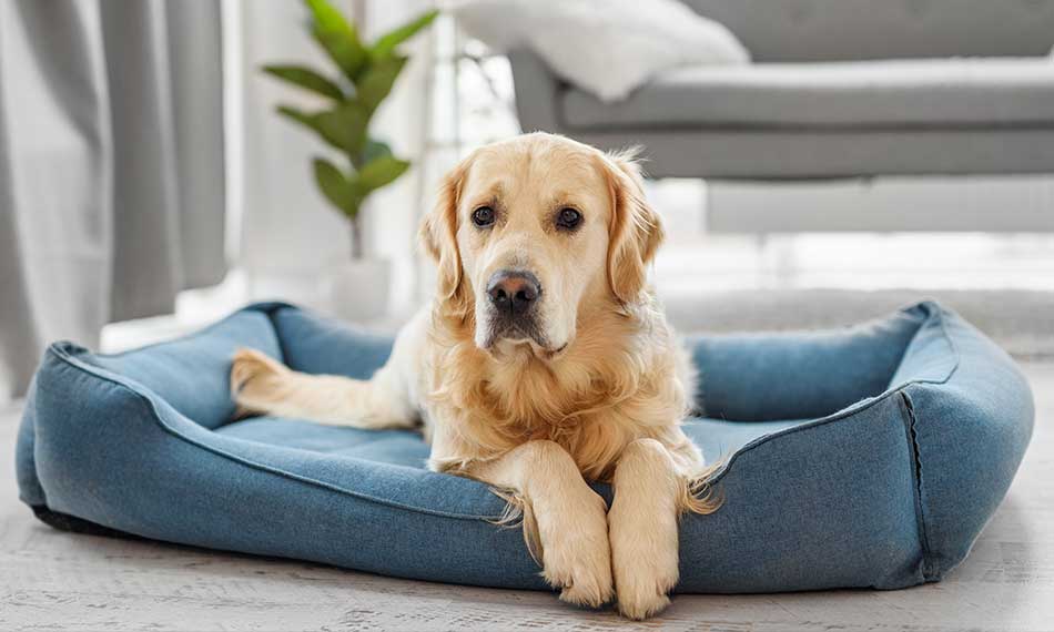 Cages, Crates and Beds