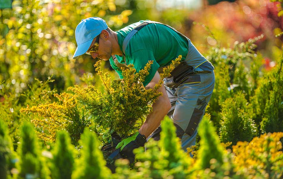 Gardening Quotes: What’s Included, Seasonal Pricing, and Common Extras